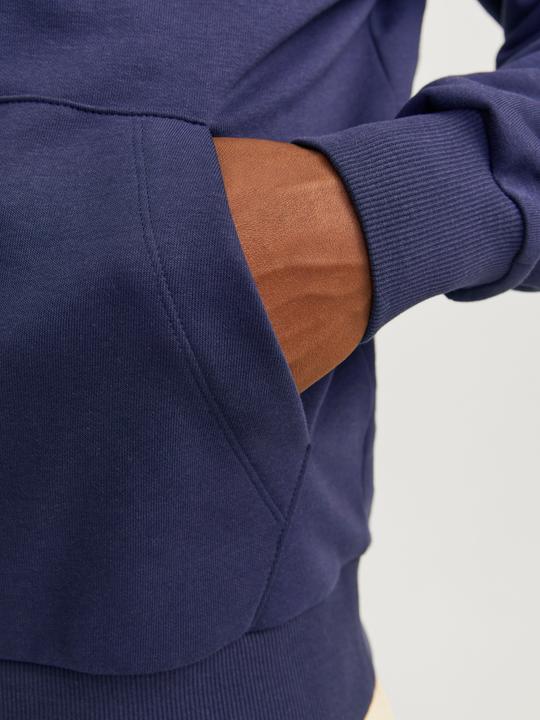 Actual product image Jack & Jones Jjecaleb Varsity Sweat Hood Noos (XS)