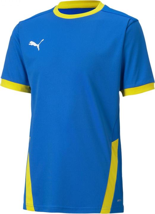 Actual product image Puma teamGOAL 23 Jersey jr-704160 (176)