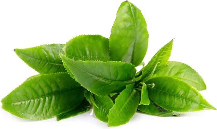 Immagine prodotto Foreo Tè verde (36 ml)