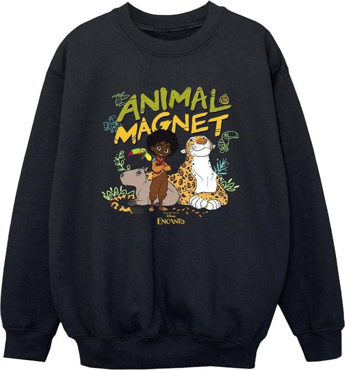 Produktbild Disney Encanto Animal Magnet Sweatshirt Jungen (140, 146)