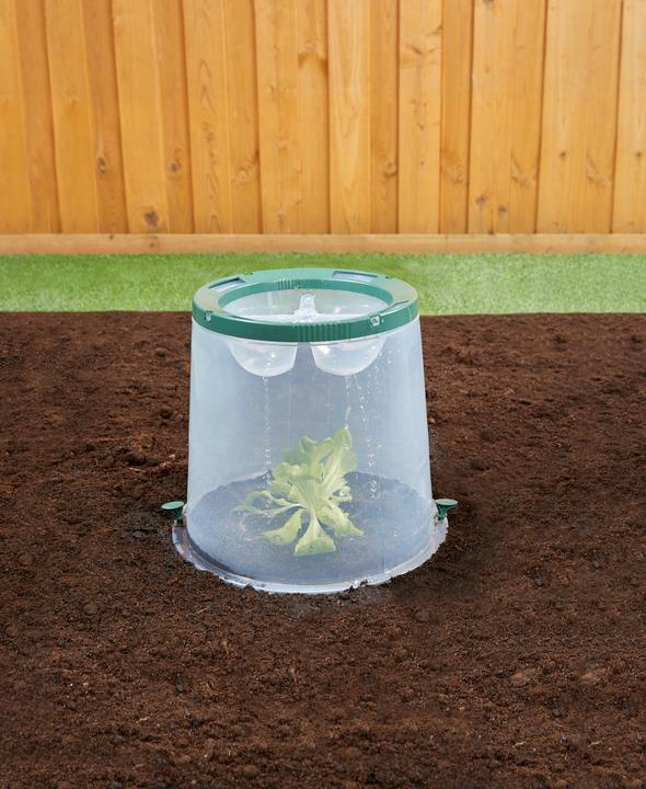 Image du produit Garantia Sunny