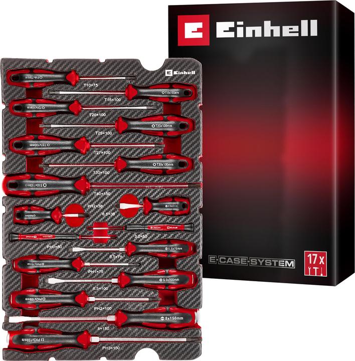 Einhell Einleger E-Case Schraubendreher