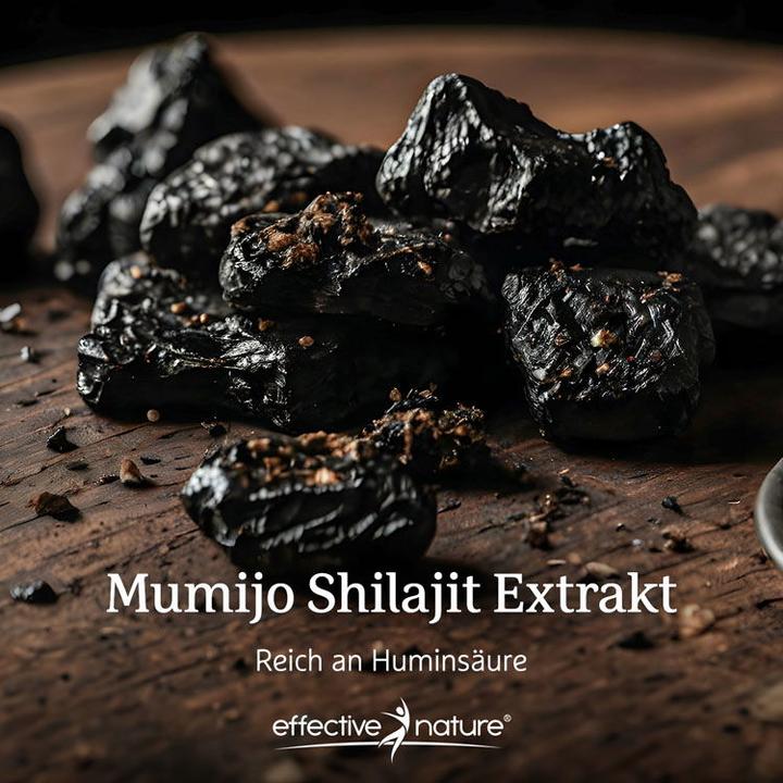 Produktbild Effective Nature Mumijo Shilajit Extrakt (60 Stück, Kapseln, 37 g)