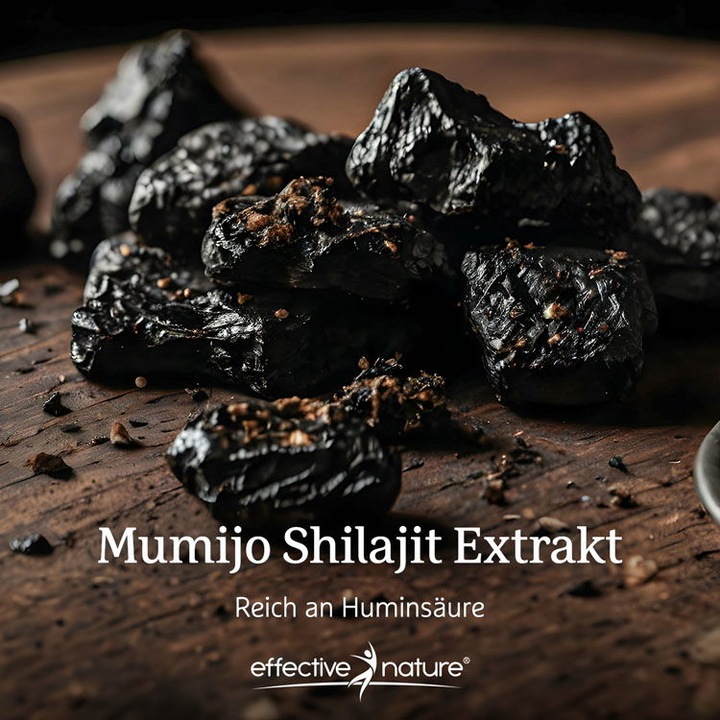 Actual product image Effective Nature Mumijo Shilajit (60 Piece, Capsules, 37 g)