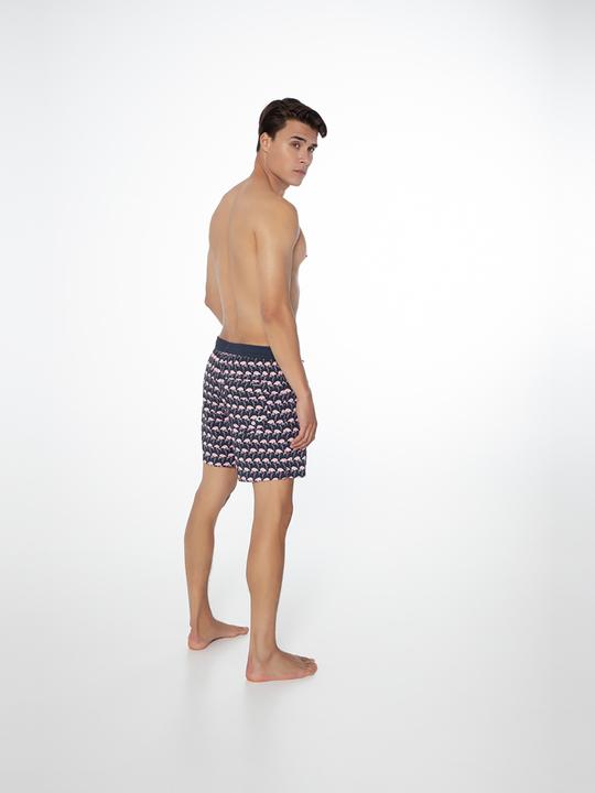 Actual product image MGA Men's shorts protest Prtohlander beach shorts (XXL)