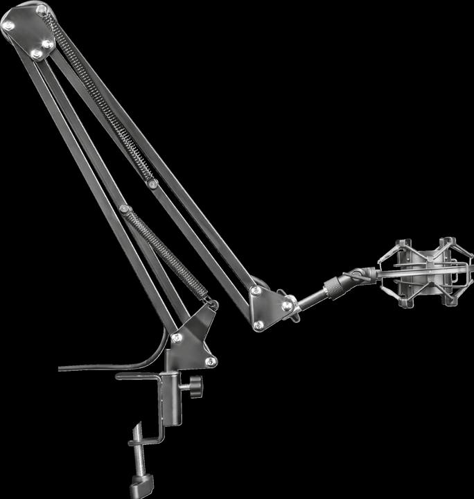 Immagine prodotto Trust GXT 253 Emita Braccio del microfono in streaming GXT 253