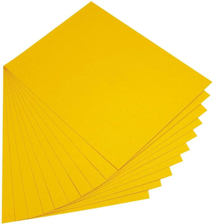 Immagine prodotto Folia Cartone argilla 180g/m², DIN A4 (180 g/m², 100x)