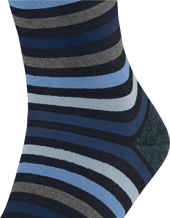 Actual product image Falke Tinted Stripe SO (Single pack, 47 - 50)