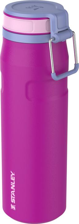 Pink, Rose, Violet, violet blossom, Violet clair