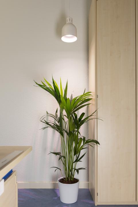 Produktbild Neogard Saga (LED, 230 V)