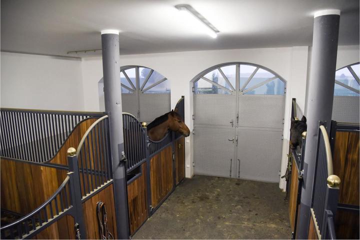 Actual product image Kerbl IPCam 360 FHD 1080p (1920 x 1080 Pixels)