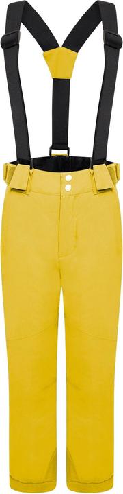 Immagine prodotto Dare2b Pantaloni da sci Outmove II (164)