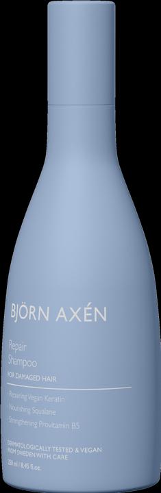Actual product image Björn Axen Repair - Shampoo (250 ml, Liquid shampoo)