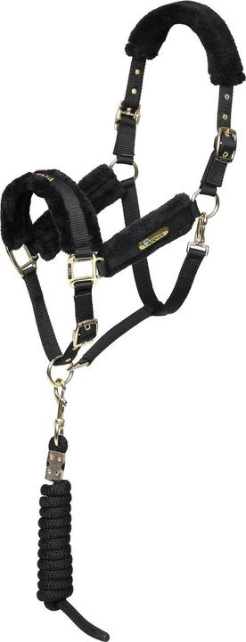 Image du produit Arma - Licol et longe