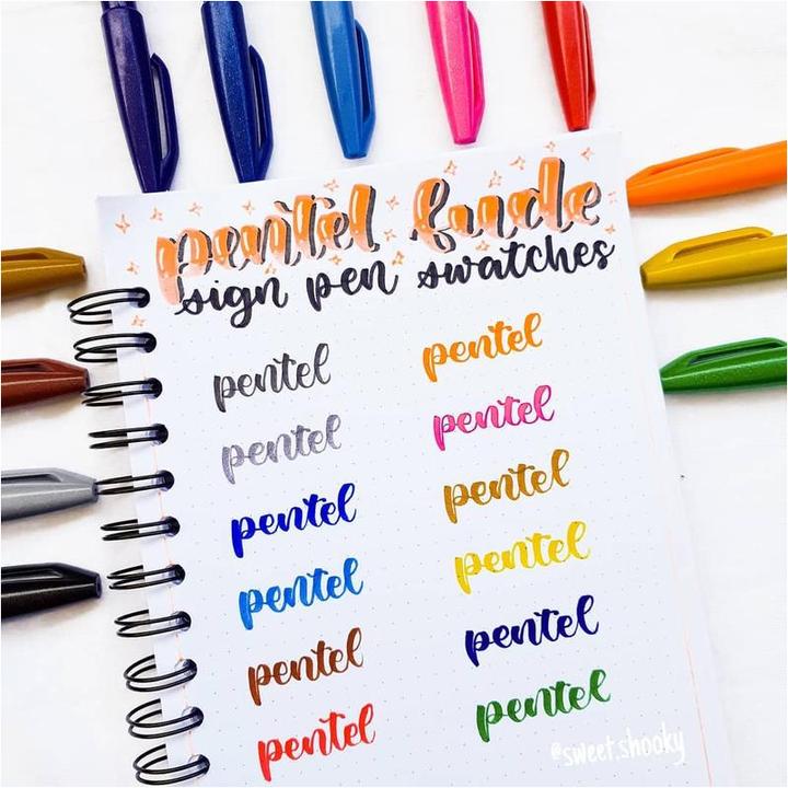 Image du produit Pentel Brush Sign Pen 12 pièces (Violet, Vert, Bleu, Pink, Rouge, 12 x)