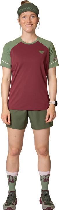Actual product image Dynafit Alpine Shorts (XS)