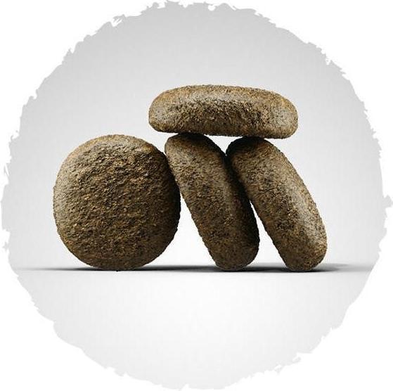Image du produit Josera Saumon et pomme de terre (Adulte, Senior, 1 pcs, 12500 g)
