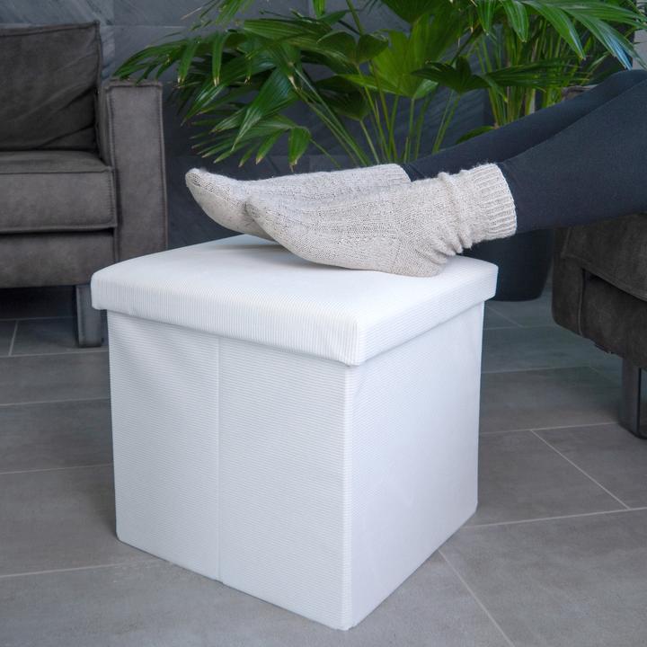 Actual product image Intirilife Foldable stool with storage space