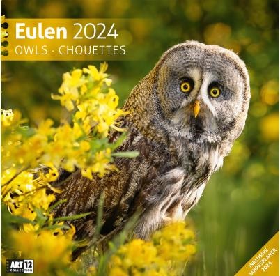Actual product image Owls Calendar 2024 - 30x30 (30 x 30 cm, German)