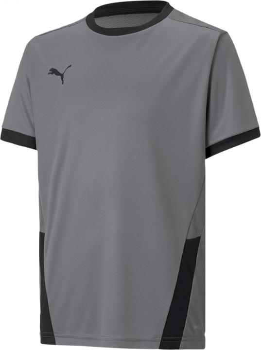 Actual product image Puma teamGOAL 23 Jersey jr-704160 (140)