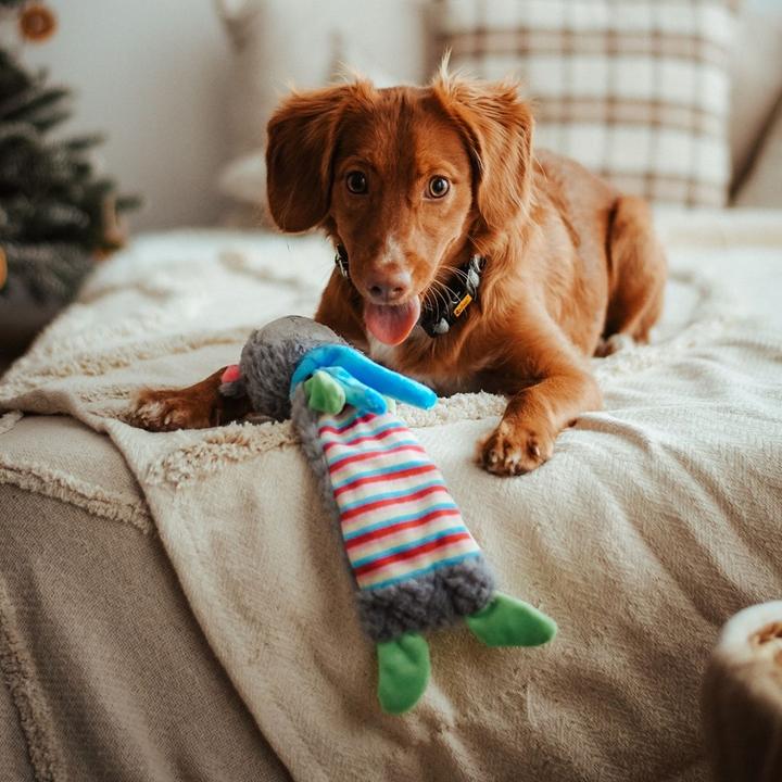 Actual product image Red Dingo DINGO Žaislas PLUSZ MIŚ SZELESZCZĄCY 36cm (Plush toy dog)