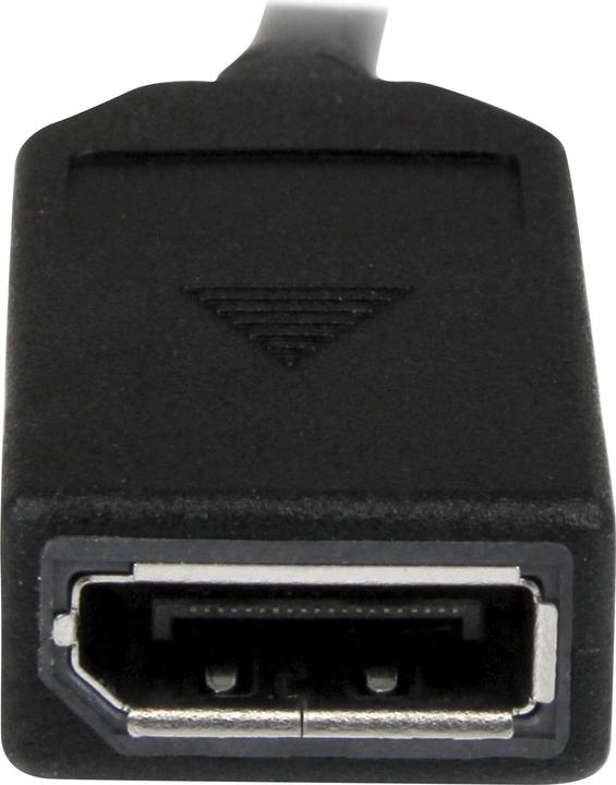 Actual product image StarTech DisplayPort — 2x DisplayPort (0.20 m, DisplayPort)