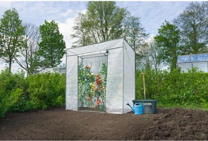 Produktbild Nature Gewächshaus