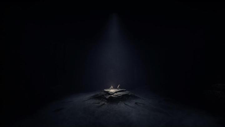 Actual product image THQ Reanimal (Xbox Series X, DE, EN, FR, IT)