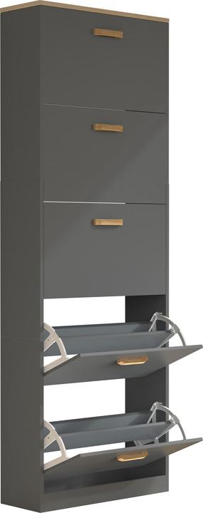 Shoe cabinet