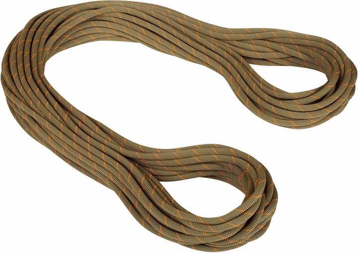 Mammut 9.9 Gym Workhorse Classic Kletterseil (40 m)