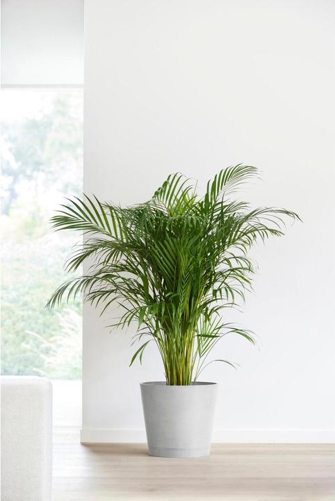 Produktbild Ecopots Venice (40 x 35 cm)