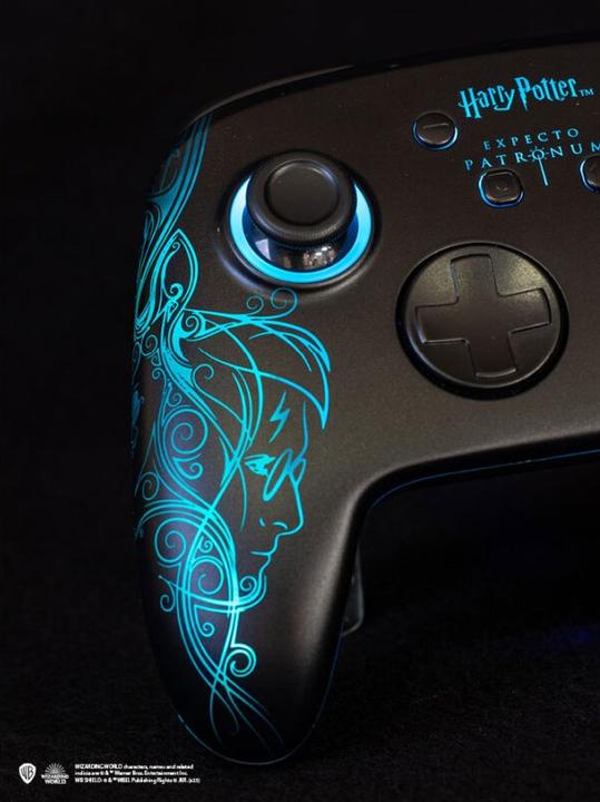 Immagine prodotto Freaks and Geeks Harry Potter (Switch, PC)