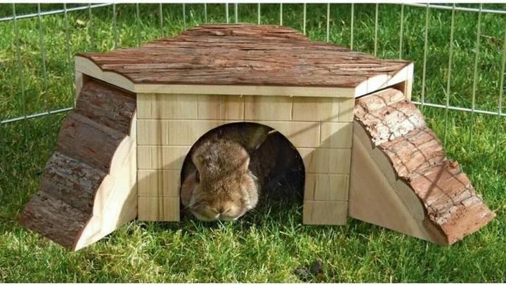 Actual product image Kerbl Rodent house