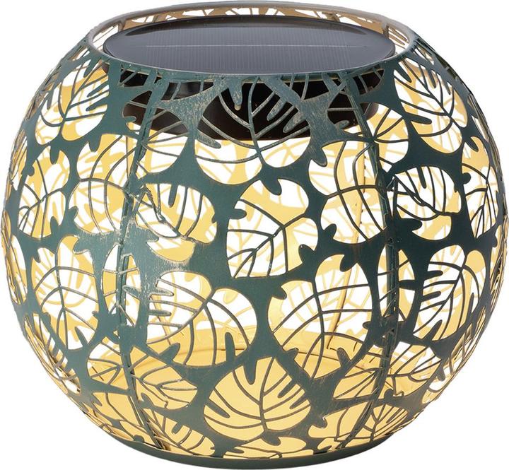 Image du produit STT Monstera