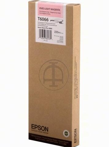 Actual product image Epson T6066 (LM)