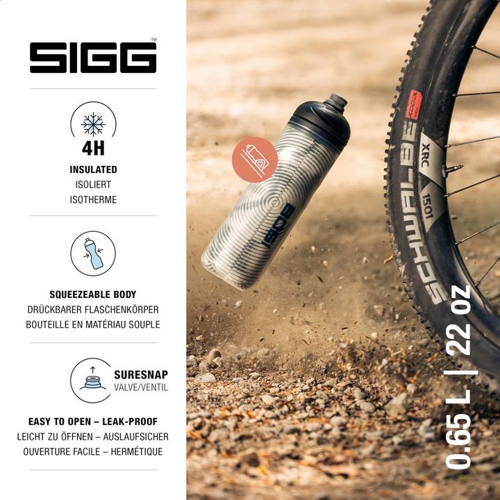 Produktbild Sigg Pulsar (0.65 l)