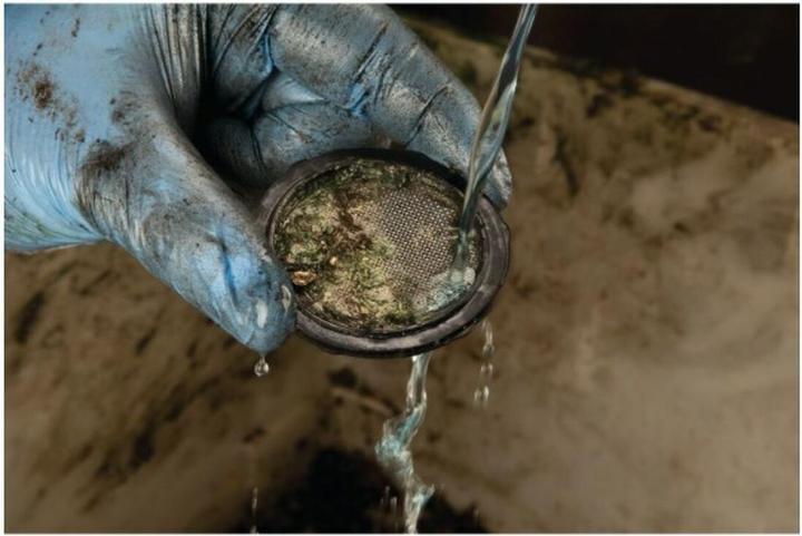 Image du produit DeWalt Pompe à graisse à batterie DCGG571M1-QW