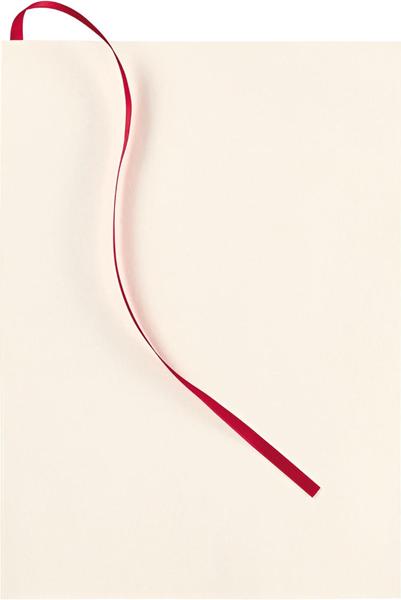 Produktbild Transotype senseBook FLAP REFILL (A6, Liniert, Kein Einband)