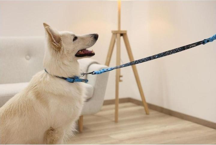 Produktbild Kerbl Halsband Lima (25, Hund, Allgemein)