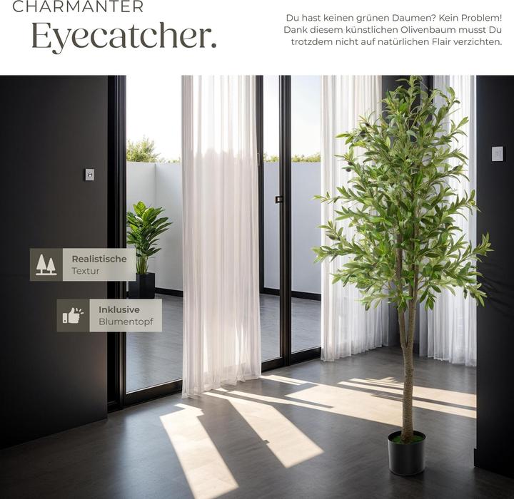 Image du produit tectake Olivenbaum Oleand (180 cm)