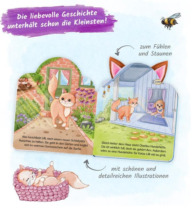 Produktbild Verlag (Deutsch)