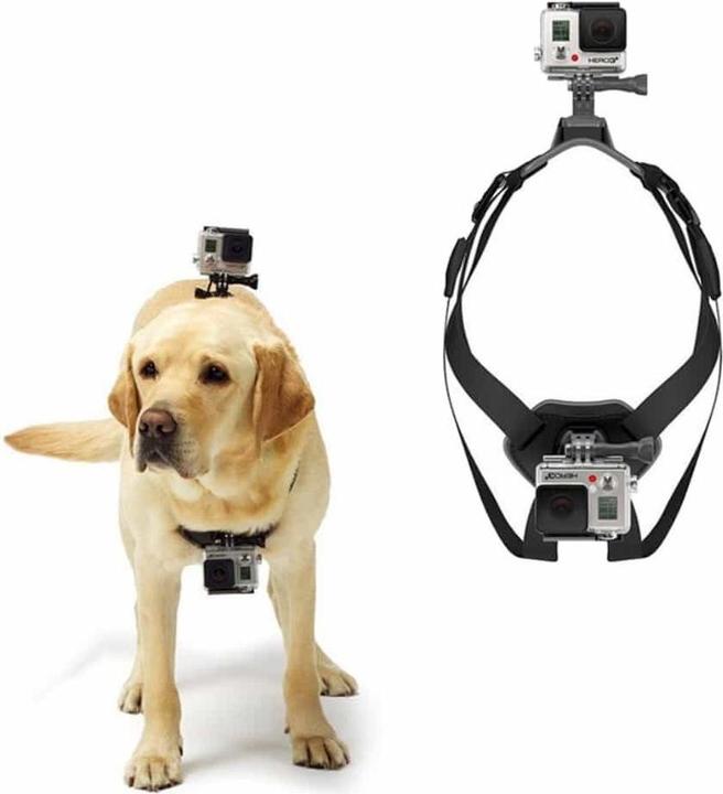 Produktbild Ueli Express GoPro Hunde Halterung