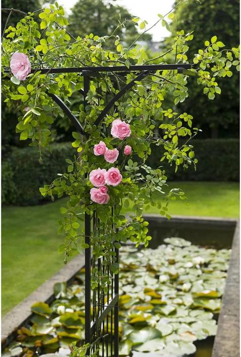 Immagine prodotto Nature Addison (114 cm, 66 cm)