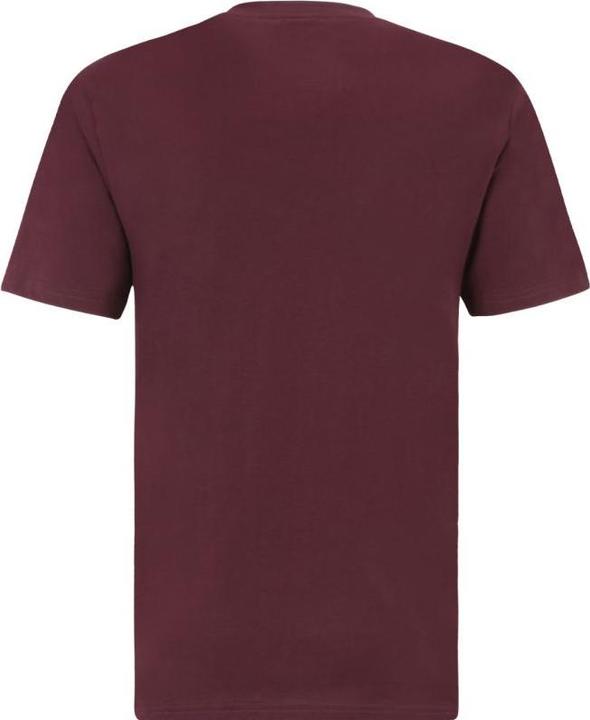 Actual product image FILA Koszulka męska Bedburg burgundowa FAU0147 40107 S (S)