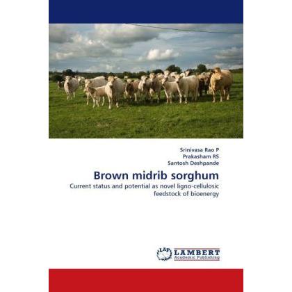 Thumbnail - Brown midrib sorghum, Fachbücher von Srinivasa Rao P, Santosh Deshpande, Prakasham Rs