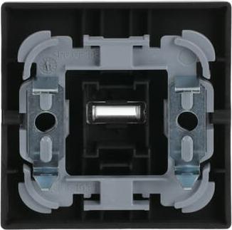 Actual product image Busch-Jaeger Rocker with small transparent dome 2CKA001751A3154