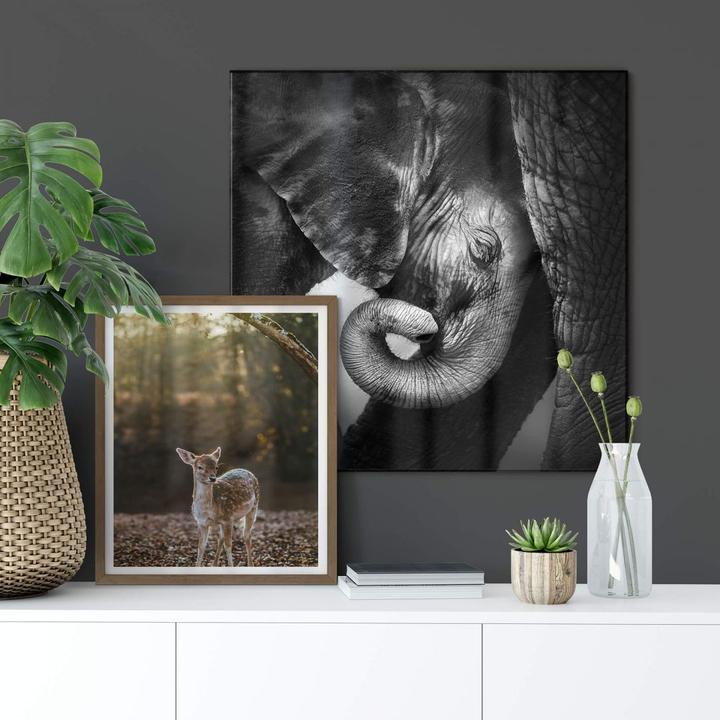 Image du produit Trenddeko Le bébé éléphant (50 x 50 cm)