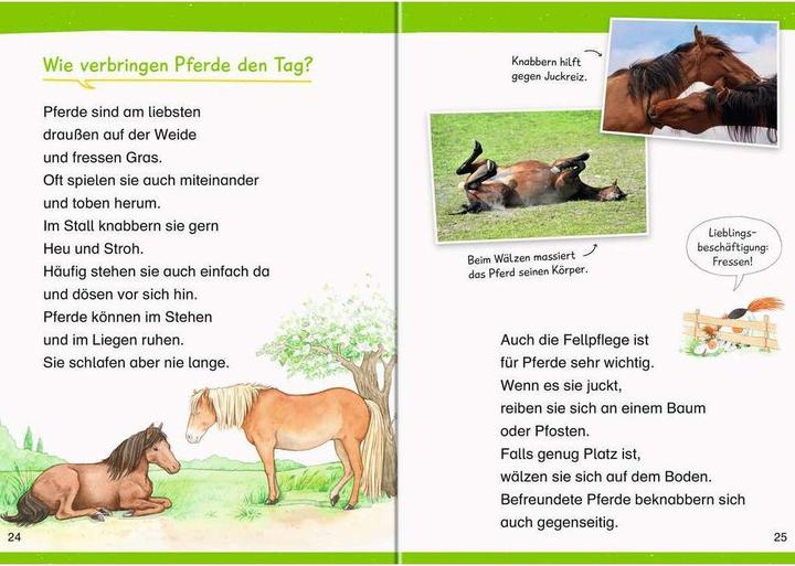 Produktbild Ravensburger Wieso? Weshalb? Warum? Erstleser: Pferde (Deutsch, Carola von Kessel, 2022)