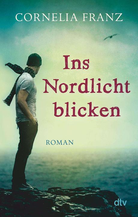 Produktbild Ins Nordlicht blicken (Deutsch, Cornelia Franz, 2014)