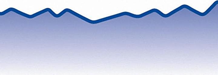 Actual product image Wedo Handicraft Scissors (16 cm)